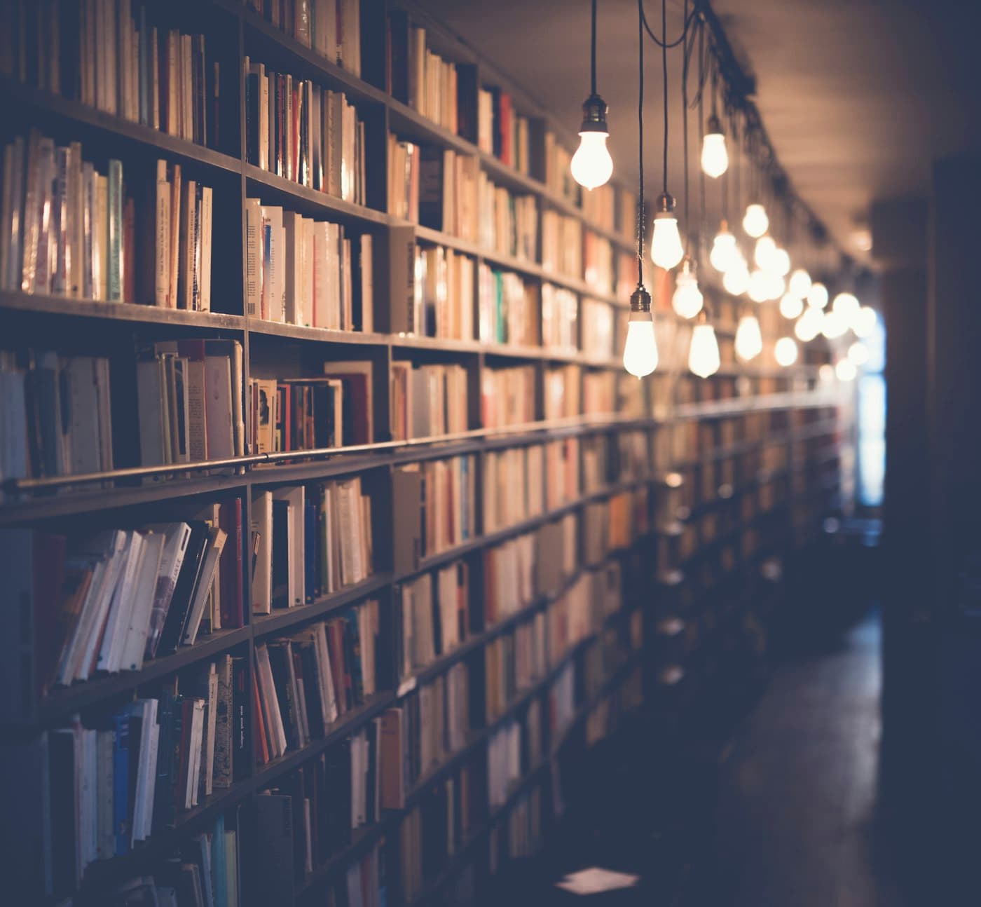 NovelVerse Library Interface